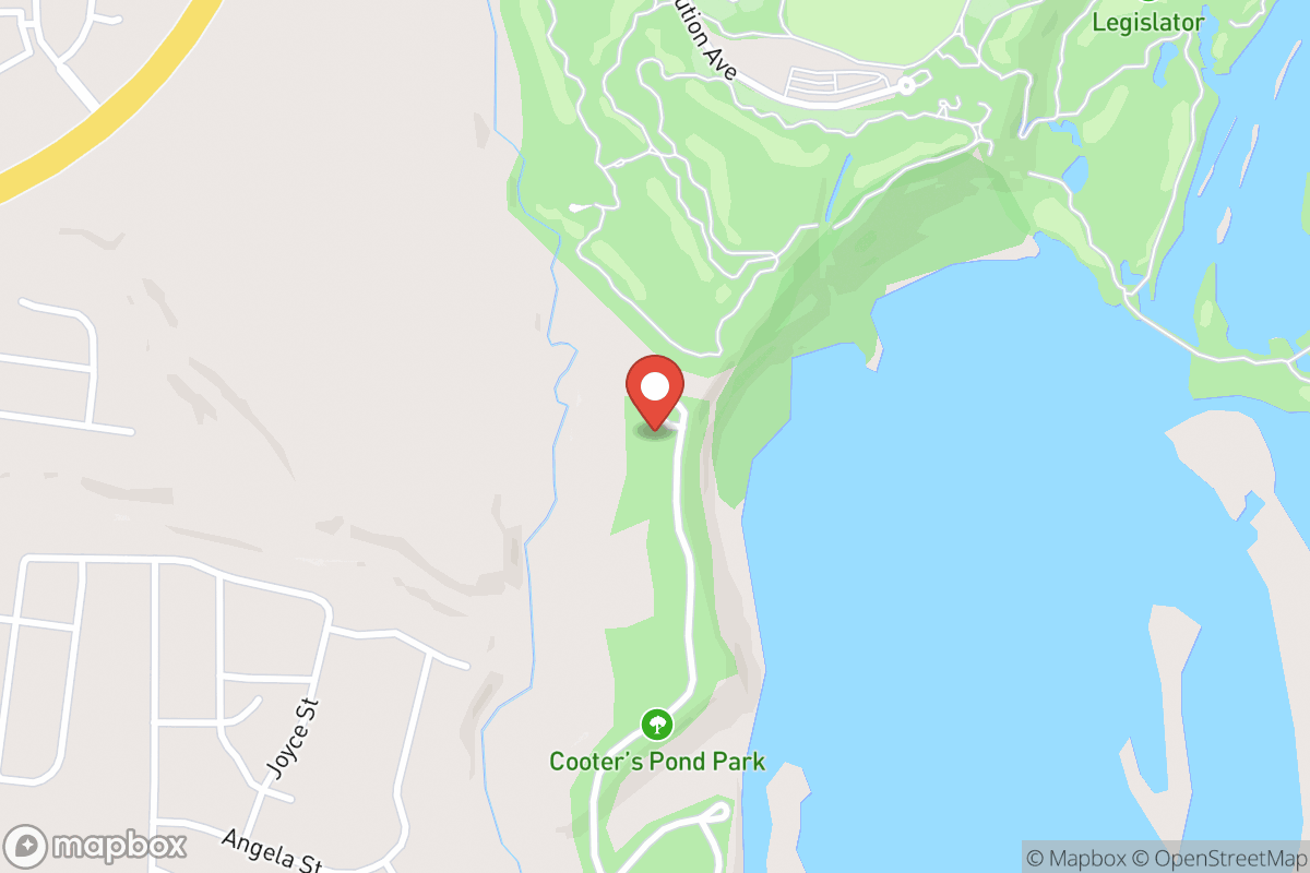 Cooter's Pond Dog Park