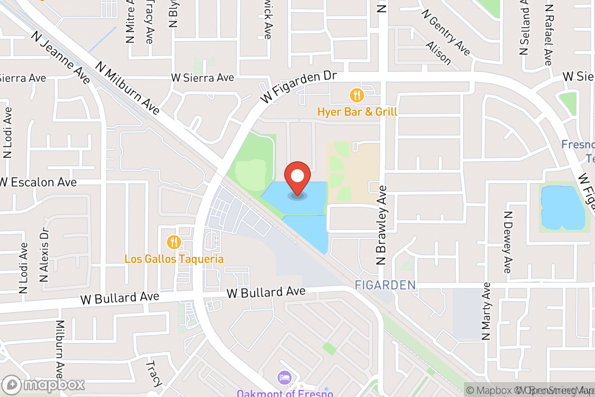 Dog Park