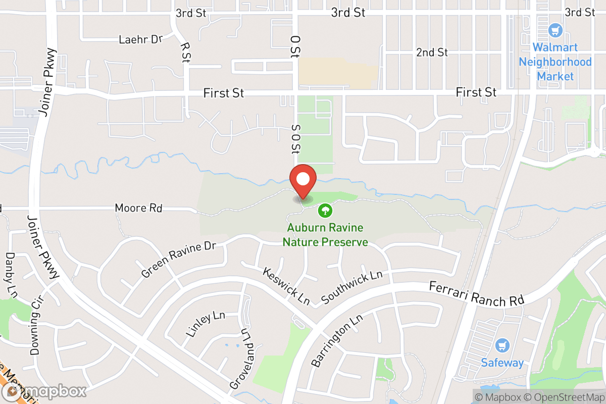 Auburn Ravine Dog Park