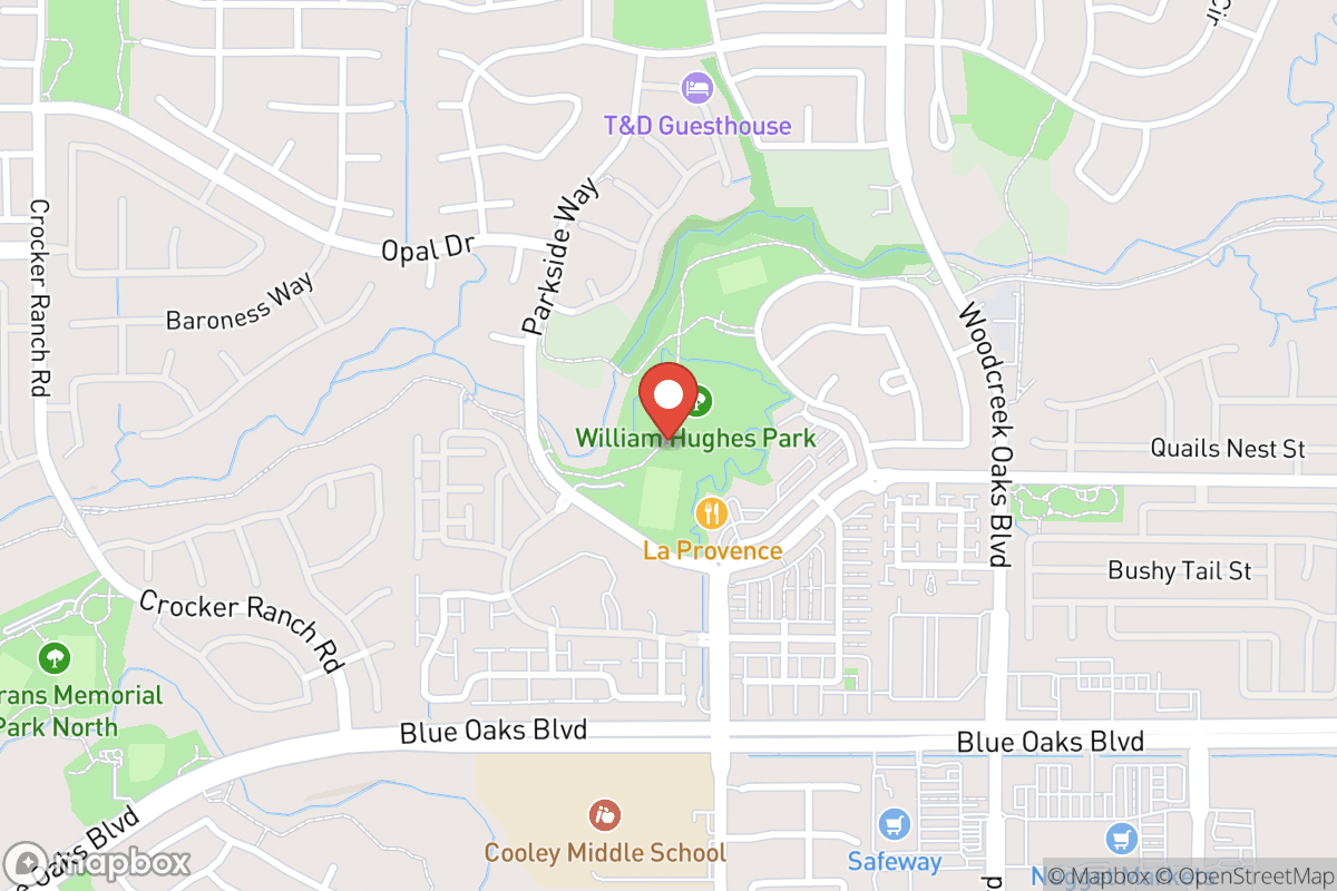 Zig & Eivo Off-Leash Dog Park