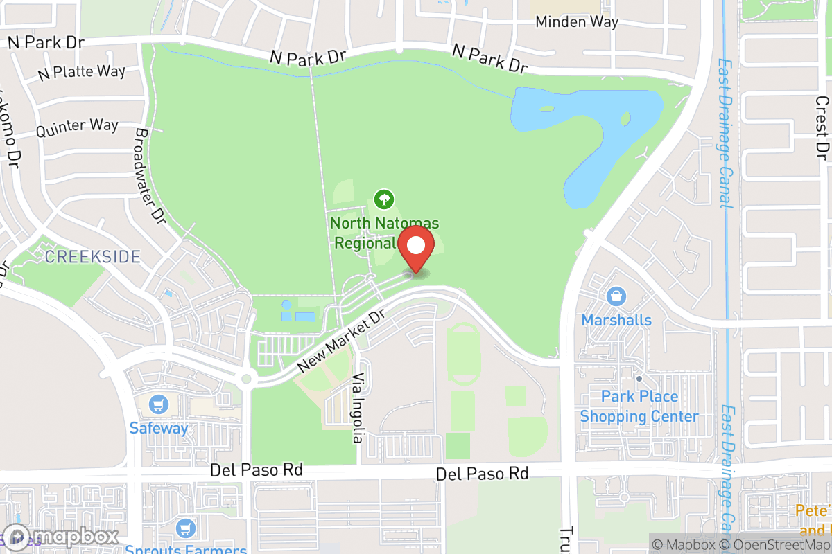 Big dog park