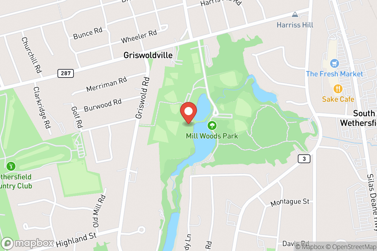 Wethersfield Dog Park