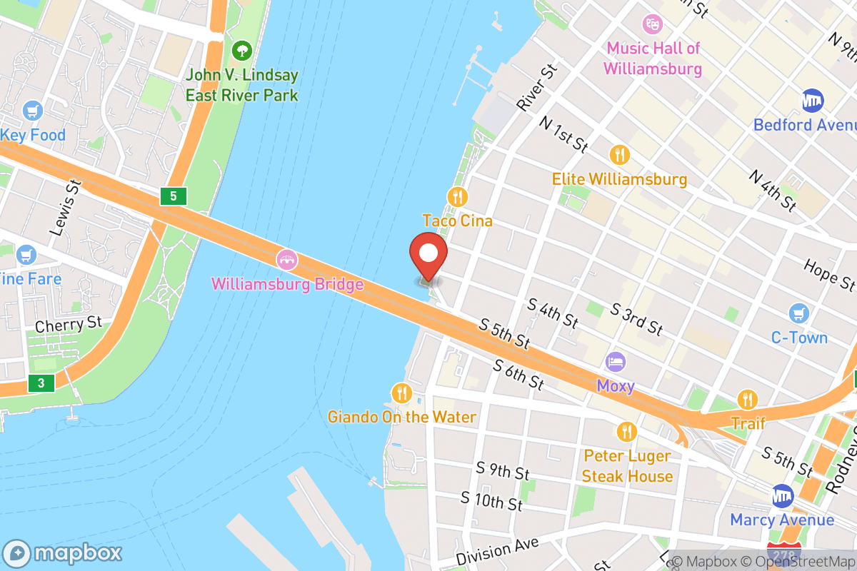 Domino Park Dog Run