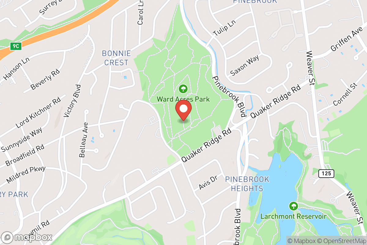 Paws Place Dog Park