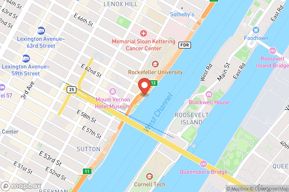 East River Esplanade Dog Run