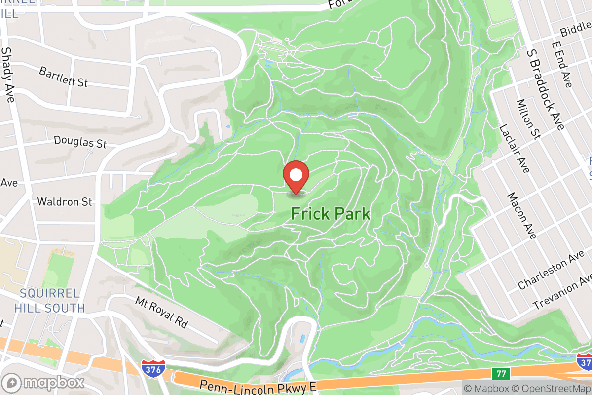 Frick Park Off-Leash Exercise Area