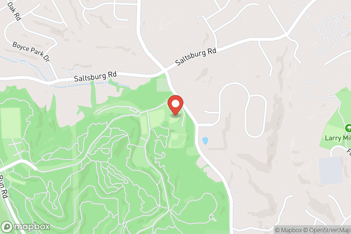 Boyce Park Dog Park 1
